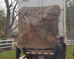 los-angeles-moving-services​